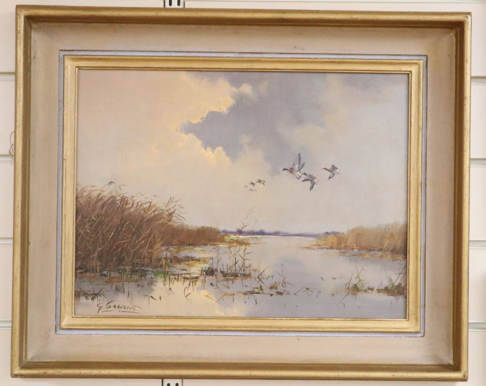 G Stevens, oil on canvas, Marshland with ducks in flight, signed, 29 x 40cm